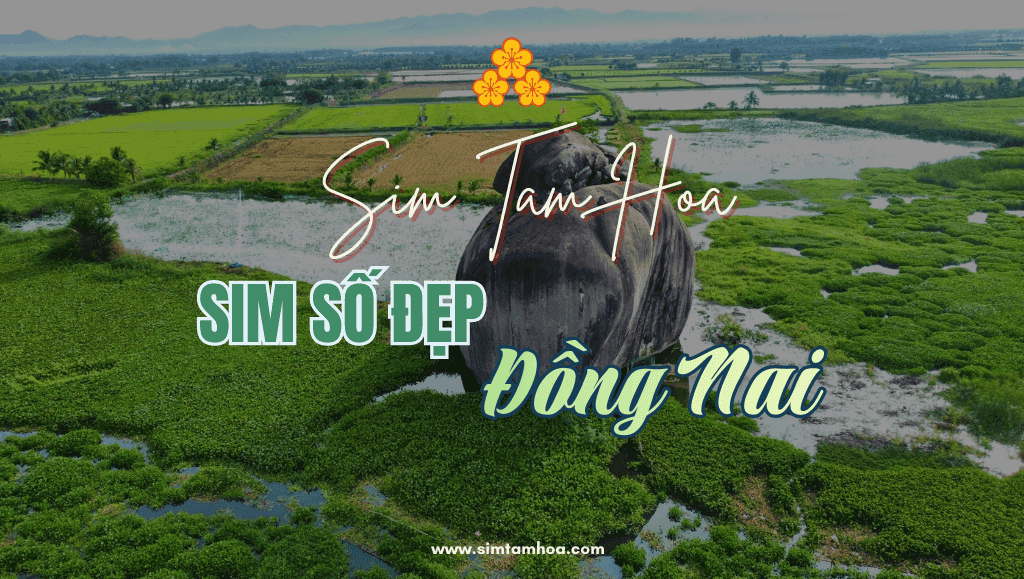 Bí Quyết Săn Sim Số Đẹp Tại Đồng Nai Hợp Mệnh, Không Bị “Hớ Giá”