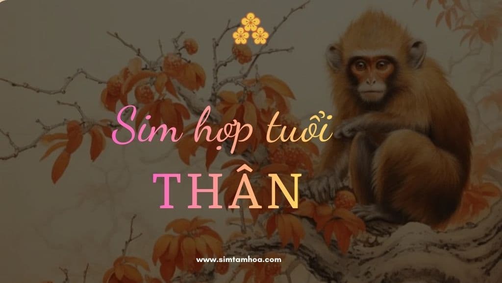 Đừng vội mua sim nếu chưa hiểu rõ thế nào là sim hợp tuổi Thân