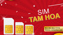 Sim tam hoa giá bao nhiêu | Sim tam hoa giá rẻ