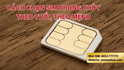Có nên mua sim phong thủy? Bí quyết chọn sim hợp tuổi – hợp mệnh tại simtamhoa.com