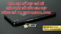 Mua Sim Số Đẹp Giá Rẻ – Giải Pháp Sở Hữu Sim Đẹp Đúng Giá Tại Simtamhoa.com 
