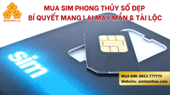 Mua Sim Phong Thủy Số Đẹp – Bí Quyết Mang Lại May Mắn & Tài Lộc