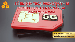 Số Sim Điện Thoại Phong Thủy – Bí Quyết Chọn Lựa May Mắn Tại Simtamhoa.com
