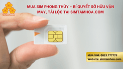 Mua Sim Phong Thủy – Bí Quyết Sở Hữu Vận May, Tài Lộc Tại Simtamhoa.com