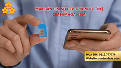 Mua Bán Sim Số Đẹp TPHCM Uy Tín | Simtamhoa.com