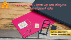 Mua Sim phong thủy giá rẻ – Sự kết hợp giữa số học và năng lượng cá nhân