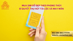 Mua sim số đẹp theo phong thủy – Bí quyết thu hút tài lộc và may mắn