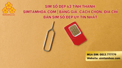 Sim Số Đẹp 63 Tỉnh Thành - Simtamhoa.com | Bảng Giá, Cách Chọn, Địa Chỉ Bán Sim Số Đẹp Uy Tín Nhất