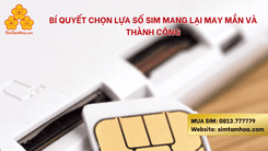 Bí Quyết Chọn Lựa Số Sim Mang Lại May Mắn Và Thành Công
