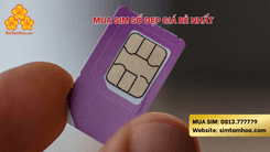Mua sim số đẹp giá rẻ nhất