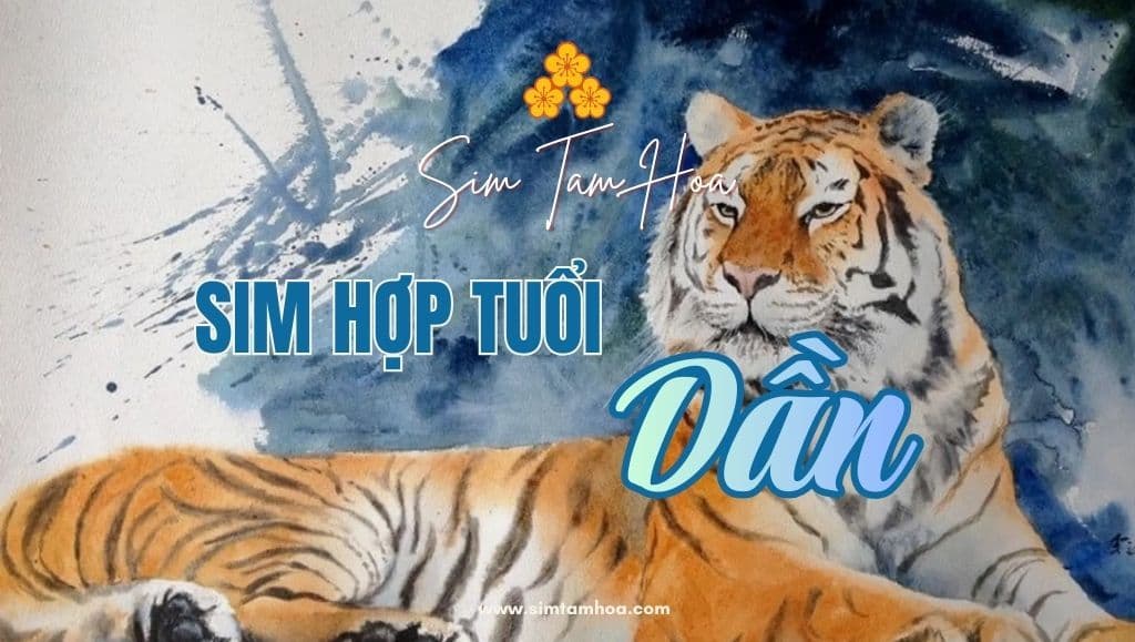 Khám Phá Những Dòng Sim Hợp Tuổi Dần Đem Lại Vận Khí Cao