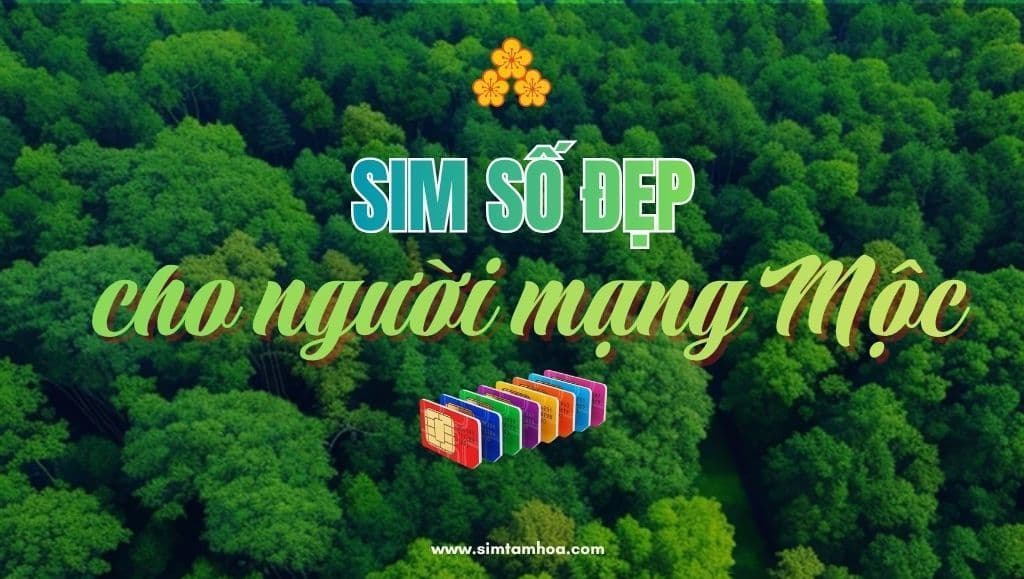 May Mắn Gõ Cửa Nhờ Chọn Đúng Sim Số Đẹp Cho Người Mệnh Mạng Mộc