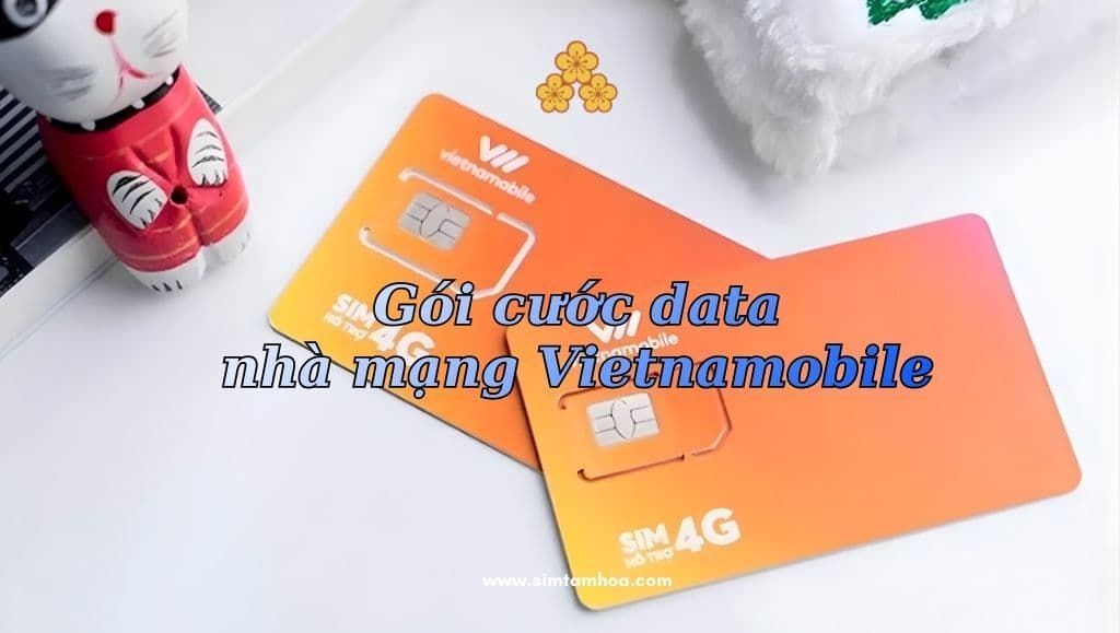 Tổng Hợp Những Vấn Đề Liên Quan Đến Gói Cước Data Nhà Mạng Vietnamobile