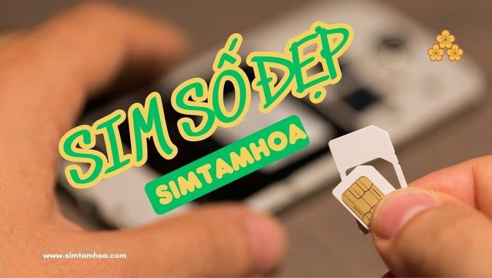 Sim Tam Hoa | Siêu Thị Sim Số Đẹp Phong Thủy