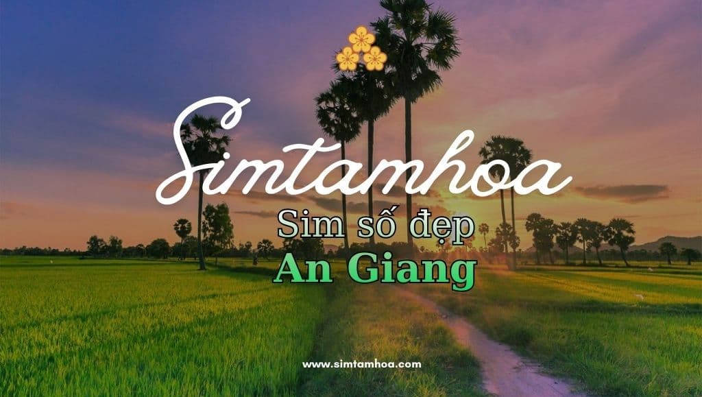 Bỏ Túi Ngay Cách Chọn Sim Số Đẹp An Giang & Gợi Ý Sim Phong Thủy Chuẩn Xác Nhất