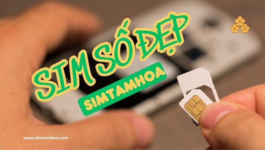 Sim Tam Hoa | Siêu Thị Sim Số Đẹp Phong Thủy