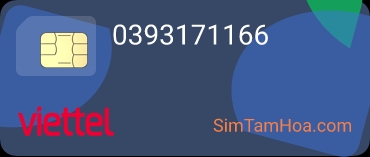 0393171166
