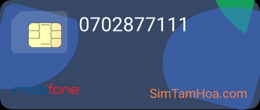 0702877111