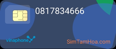 0817834666