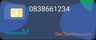 0838661234