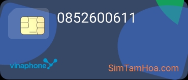 0852600611