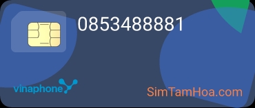0853488881