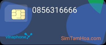 0856316666