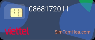 0868172011