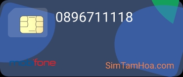 0896711118