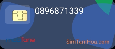 0896871339
